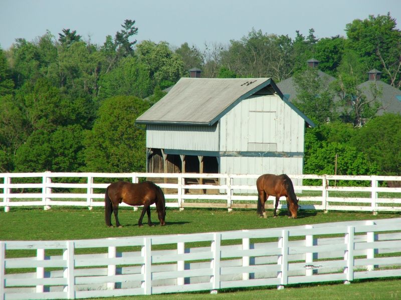 Horse Paddock Installation in Sacramento, CA