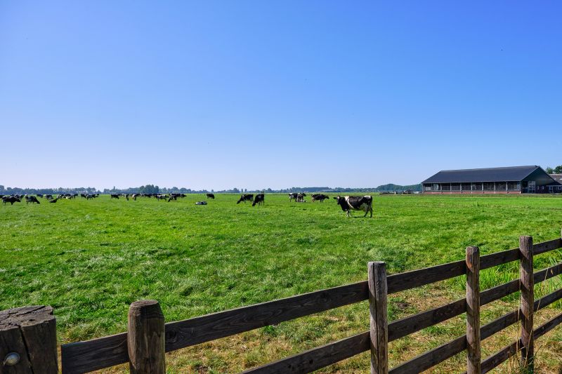 Ranch Fence Construction in Pearland, TX